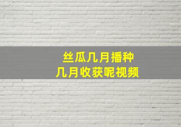 丝瓜几月播种几月收获呢视频