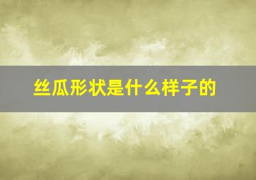 丝瓜形状是什么样子的