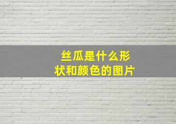 丝瓜是什么形状和颜色的图片