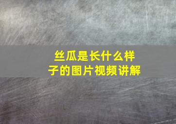 丝瓜是长什么样子的图片视频讲解