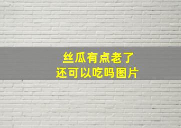 丝瓜有点老了还可以吃吗图片