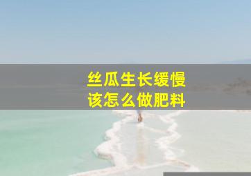 丝瓜生长缓慢该怎么做肥料