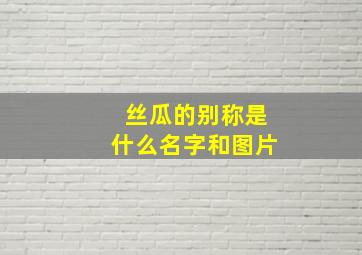 丝瓜的别称是什么名字和图片