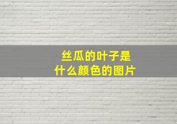 丝瓜的叶子是什么颜色的图片