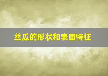 丝瓜的形状和表面特征