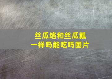 丝瓜络和丝瓜瓤一样吗能吃吗图片