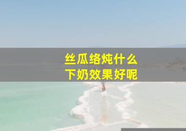 丝瓜络炖什么下奶效果好呢