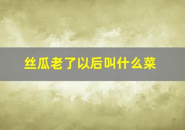 丝瓜老了以后叫什么菜