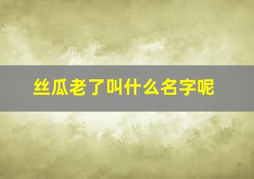 丝瓜老了叫什么名字呢