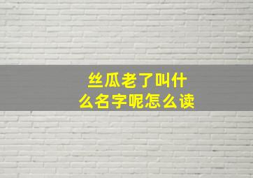 丝瓜老了叫什么名字呢怎么读