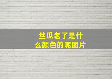 丝瓜老了是什么颜色的呢图片