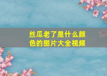 丝瓜老了是什么颜色的图片大全视频