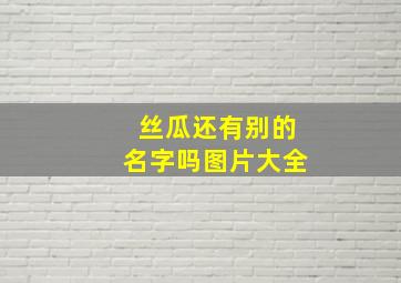 丝瓜还有别的名字吗图片大全