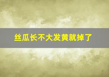 丝瓜长不大发黄就掉了