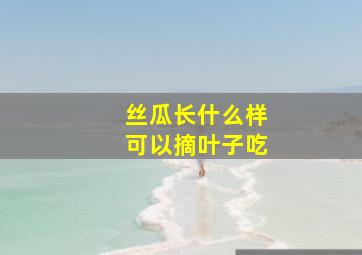 丝瓜长什么样可以摘叶子吃