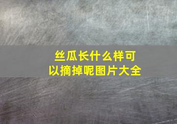 丝瓜长什么样可以摘掉呢图片大全