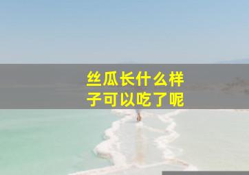 丝瓜长什么样子可以吃了呢