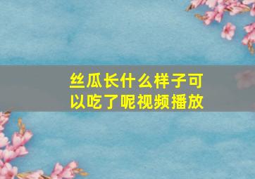 丝瓜长什么样子可以吃了呢视频播放