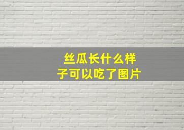 丝瓜长什么样子可以吃了图片