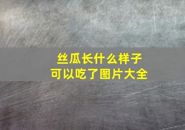 丝瓜长什么样子可以吃了图片大全