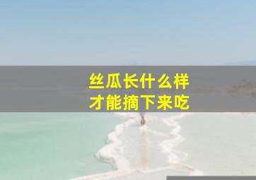 丝瓜长什么样才能摘下来吃