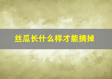 丝瓜长什么样才能摘掉