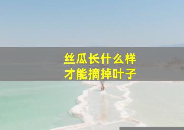 丝瓜长什么样才能摘掉叶子