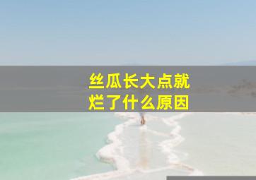 丝瓜长大点就烂了什么原因