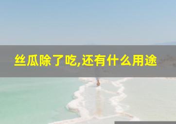 丝瓜除了吃,还有什么用途