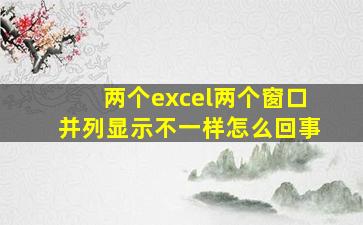 两个excel两个窗口并列显示不一样怎么回事