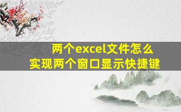 两个excel文件怎么实现两个窗口显示快捷键