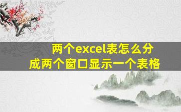 两个excel表怎么分成两个窗口显示一个表格