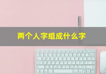 两个人字组成什么字