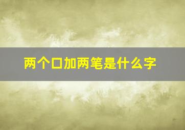 两个口加两笔是什么字