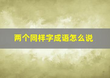 两个同样字成语怎么说