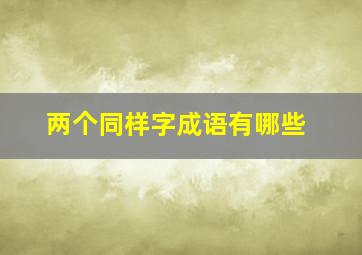 两个同样字成语有哪些