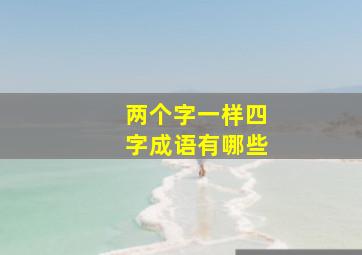 两个字一样四字成语有哪些