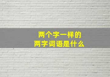 两个字一样的两字词语是什么