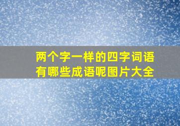 两个字一样的四字词语有哪些成语呢图片大全