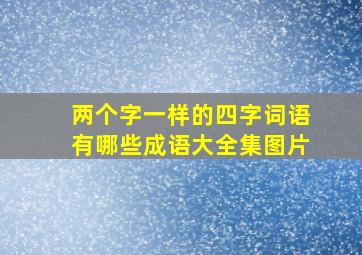 两个字一样的四字词语有哪些成语大全集图片