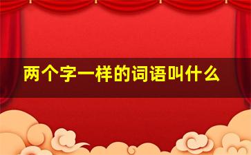 两个字一样的词语叫什么