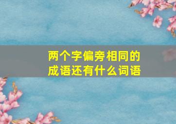 两个字偏旁相同的成语还有什么词语