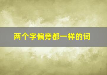 两个字偏旁都一样的词