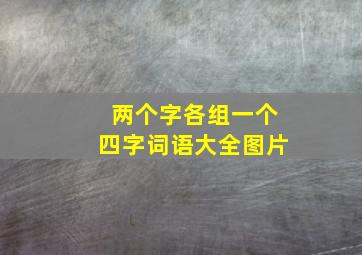 两个字各组一个四字词语大全图片