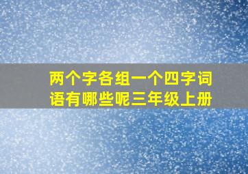 两个字各组一个四字词语有哪些呢三年级上册