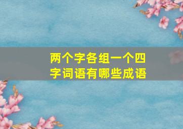 两个字各组一个四字词语有哪些成语