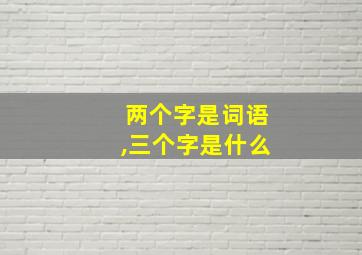 两个字是词语,三个字是什么