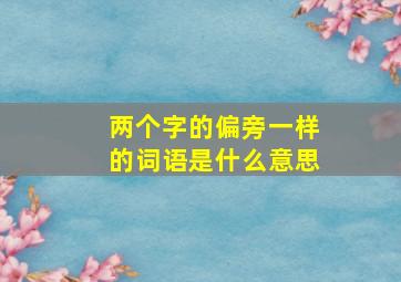 两个字的偏旁一样的词语是什么意思