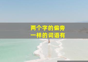 两个字的偏旁一样的词语有