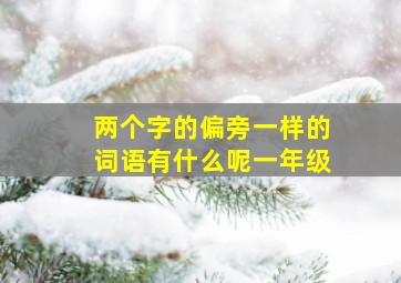 两个字的偏旁一样的词语有什么呢一年级